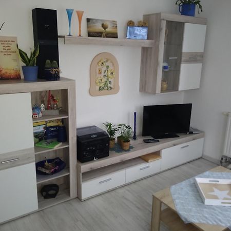 Ferienhaus Johanna & Ferienwohnung Thum Weischlitz Ngoại thất bức ảnh
