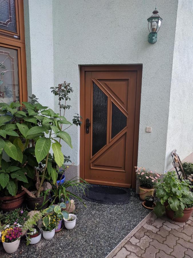Ferienhaus Johanna & Ferienwohnung Thum Weischlitz Ngoại thất bức ảnh
