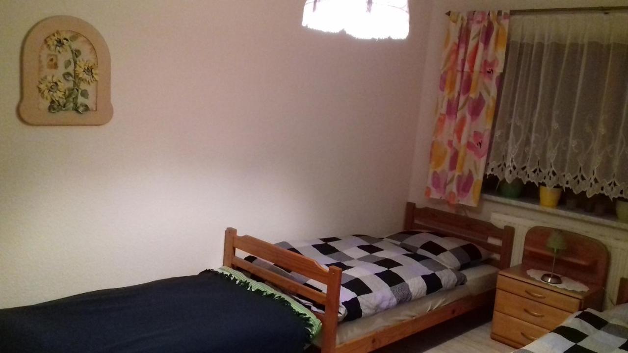 Ferienhaus Johanna & Ferienwohnung Thum Weischlitz Ngoại thất bức ảnh
